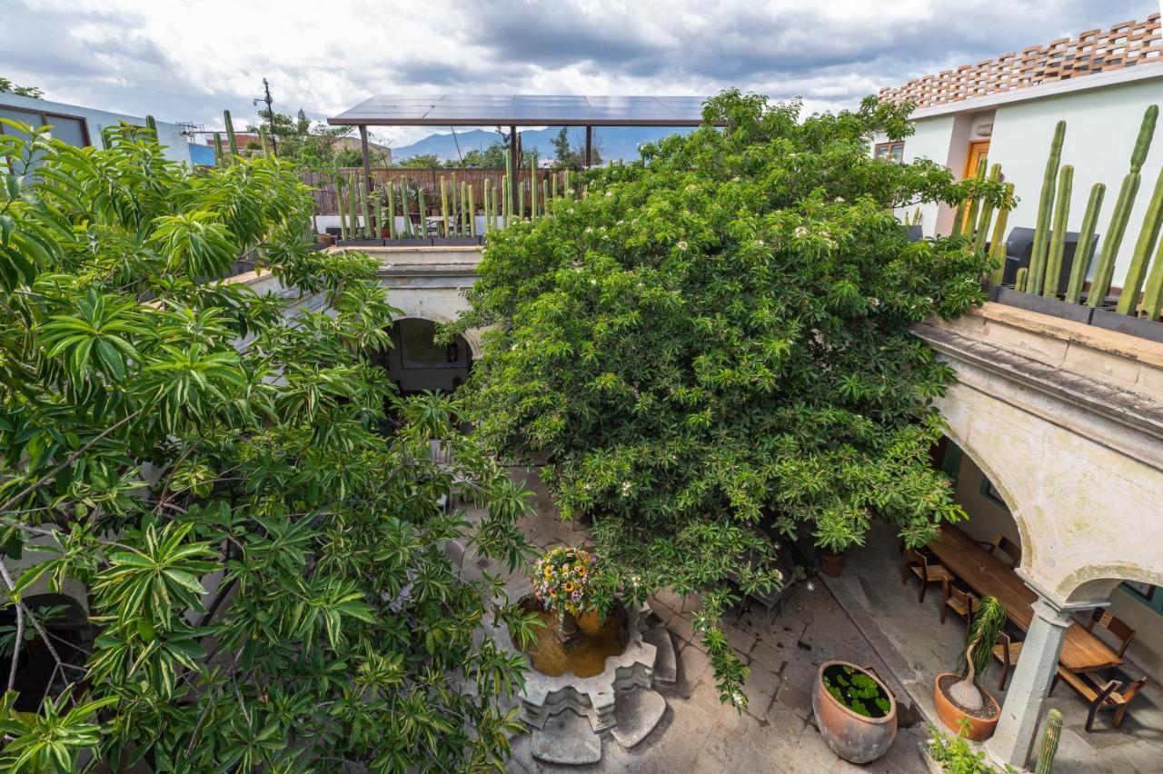 Hotel Casa De Sierra Azul Oaxaca Zewnętrze zdjęcie