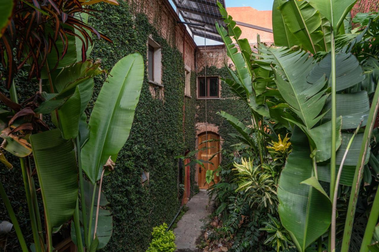 Hotel Casa De Sierra Azul Oaxaca Zewnętrze zdjęcie